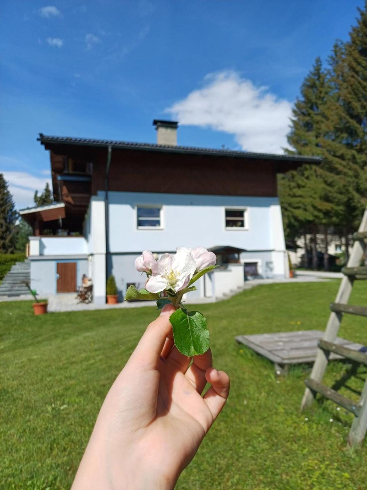 Appartements Am See Neukirchen am Grossvenediger Luaran gambar
